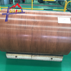 Printed Steel Coil