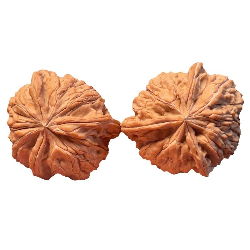 Walnut shaped wild concave bottom ingot three-edged size 40 one item one picture natural old tree fruit wholesale spot
