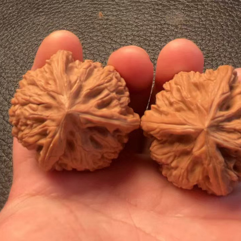 文玩核桃小众品种御龙粗筋三棱天然生长老树果上色快货源直发