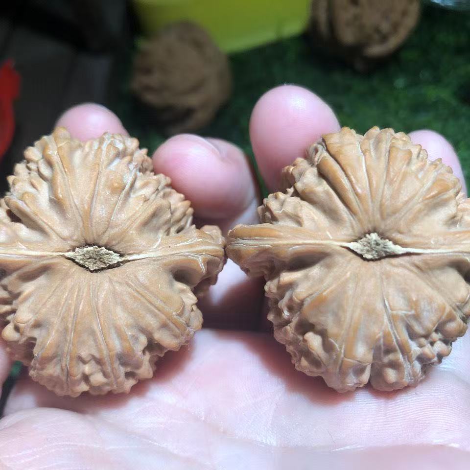 White Lion Head, China's intangible cultural heritage Wenwen walnut, an exquisite pair of old tree fruit coloring, this is a walnut that likes to grow three edges, and its trend in the later period is quite fast, it is a great gift and health artifact.