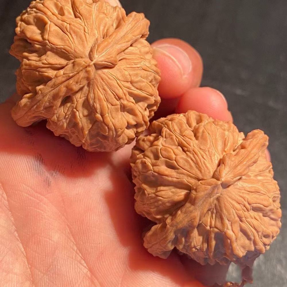 White Lion Head, China's intangible cultural heritage Wenwen walnut, an exquisite pair of old tree fruit coloring, this is a walnut that likes to grow three edges, and its trend in the later period is quite fast, it is a great gift and health artifact.