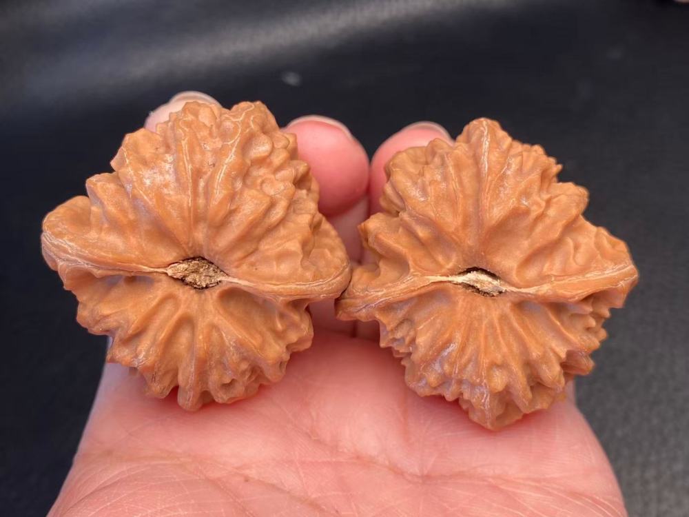 Creative Walnut Dream Crystal Leather Cao Dalong