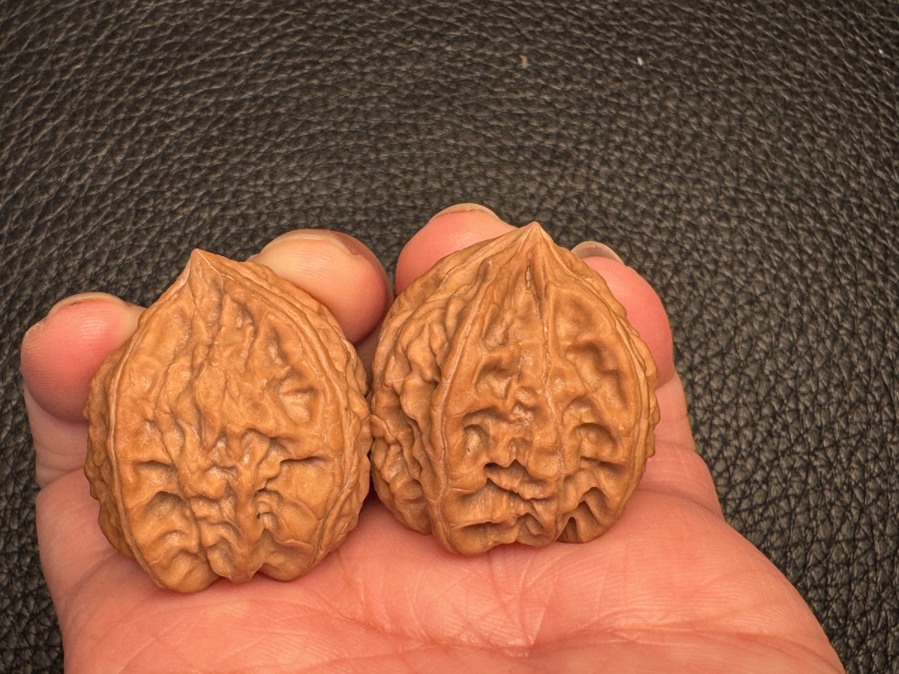 Natural growth of walnut, red jade with four edges