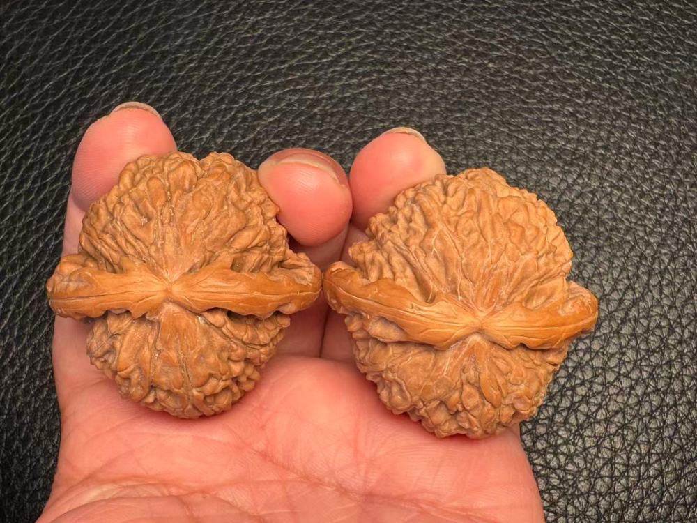 The cultural toy walnut is a white tree fruit that grows naturally and has a beautiful appearance