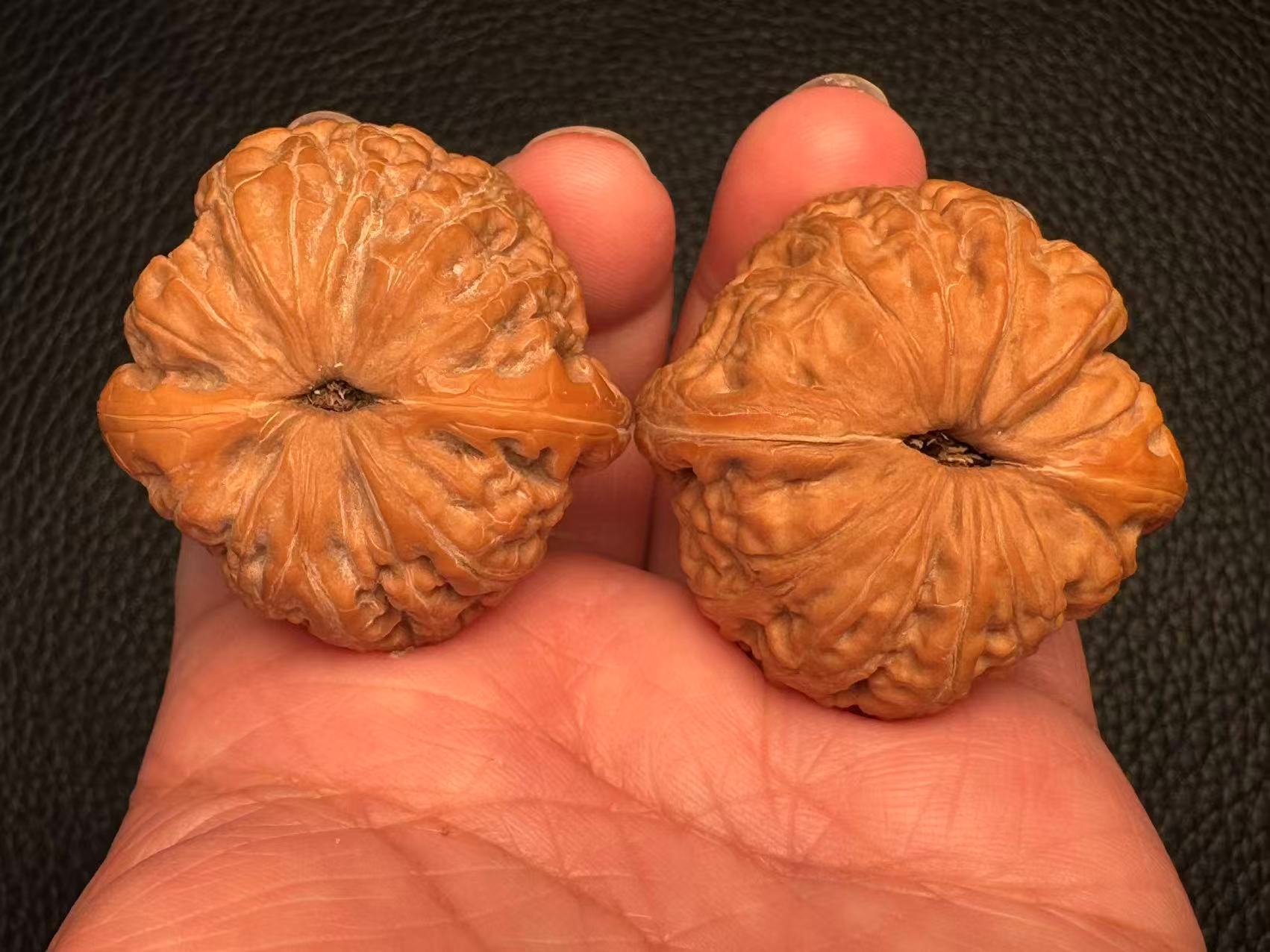 Cultural toys, walnuts, old trees, fruit ingots