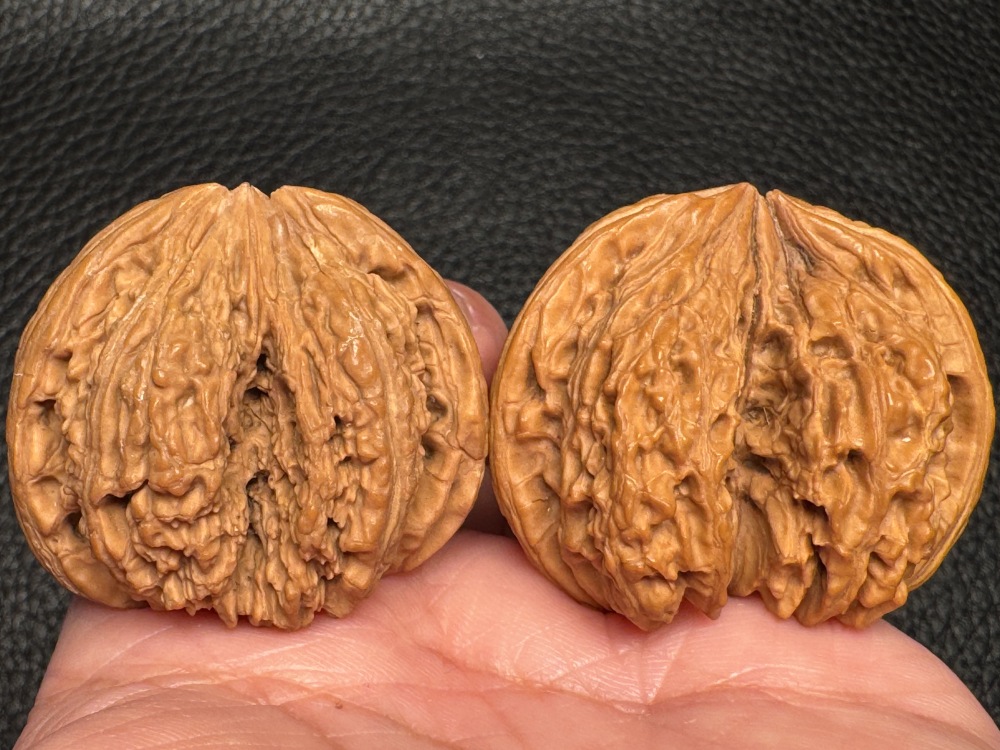 Chinese intangible cultural heritage cultural items featuring hand-processed walnuts from southern Xinjiang. Stone-encased hand-holding pieces. Excellent items for health preservation and therapeutic purposes.