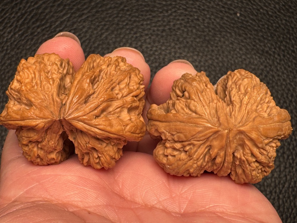 Chinese intangible cultural heritage cultural items featuring hand-processed walnuts from southern Xinjiang. Stone-encased hand-holding pieces. Excellent items for health preservation and therapeutic purposes.