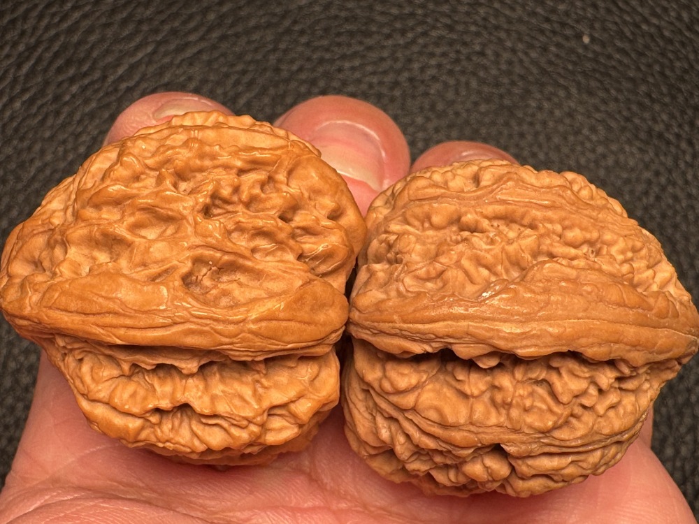 Chinese intangible cultural heritage cultural items featuring hand-processed walnuts from southern Xinjiang. Stone-encased hand-holding pieces. Excellent items for health preservation and therapeutic purposes.