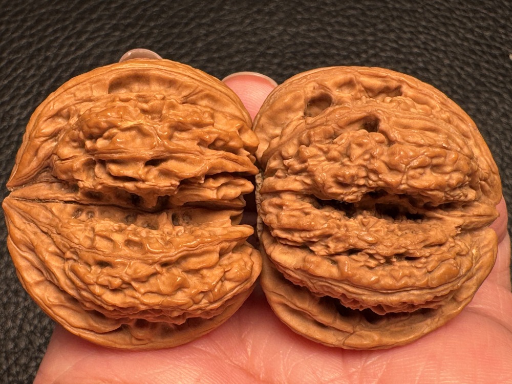 Chinese intangible cultural heritage cultural items featuring hand-processed walnuts from southern Xinjiang. Stone-encased hand-holding pieces. Excellent items for health preservation and therapeutic purposes.