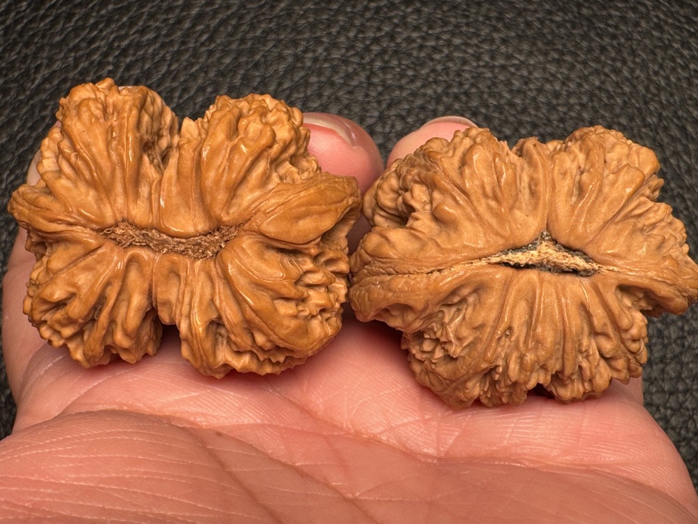 Chinese intangible cultural heritage cultural items featuring hand-processed walnuts from southern Xinjiang. Stone-encased hand-holding pieces. Excellent items for health preservation and therapeutic purposes.