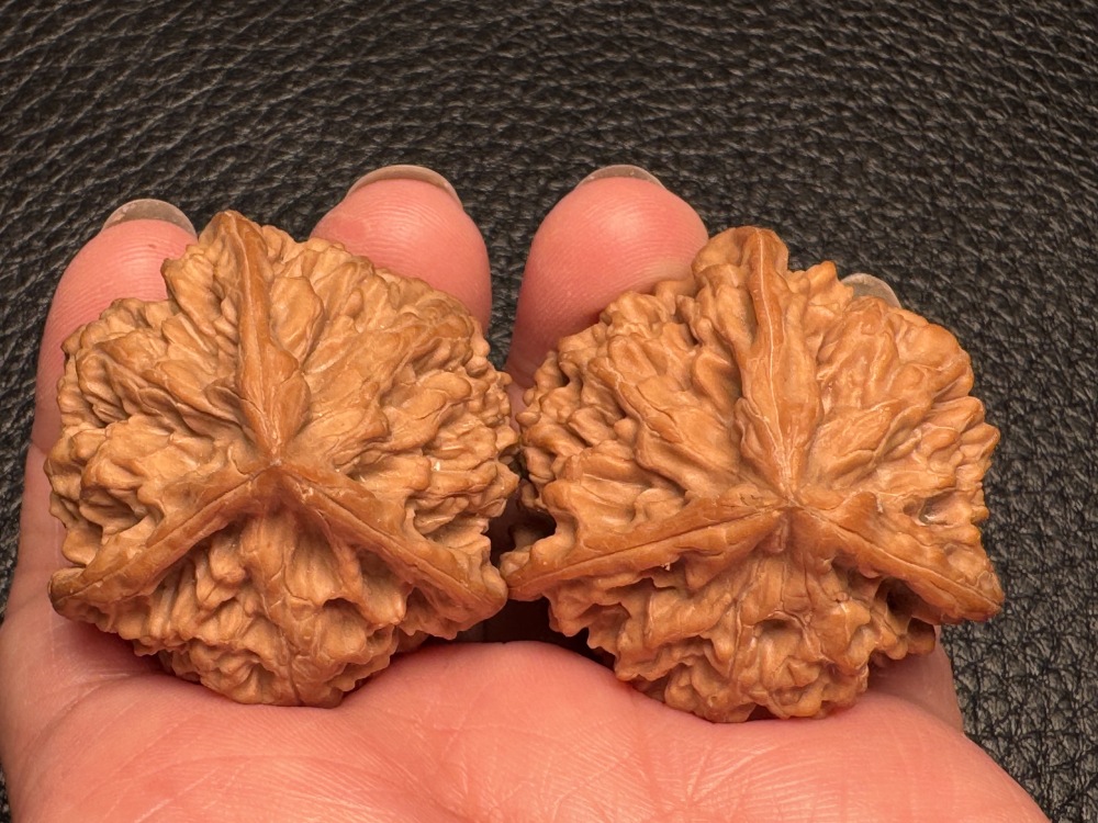 Chinese intangible cultural heritage cultural items featuring walnut nuts and wild oxen running towards a triangular shape. Hand-held pieces for health preservation and excellent therapeutic items.