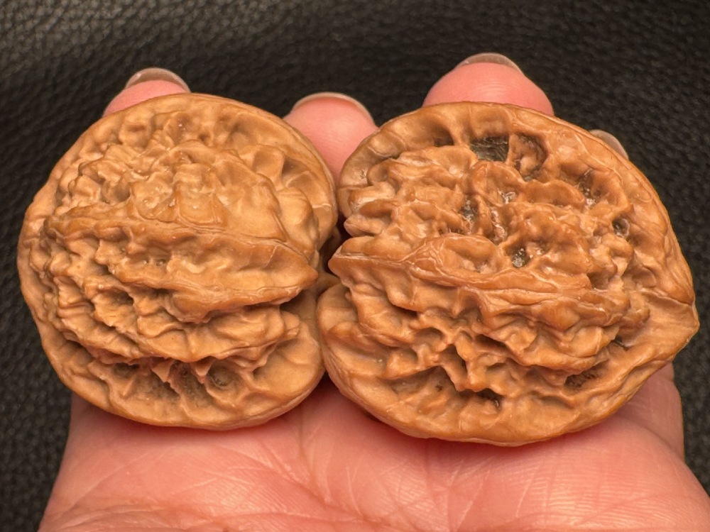 Chinese intangible cultural heritage cultural items featuring walnut nuts and wild oxen running towards a triangular shape. Hand-held pieces for health preservation and excellent therapeutic items.