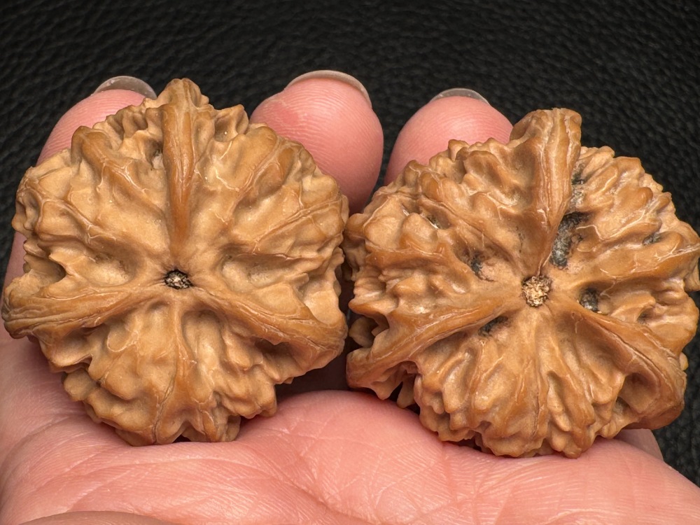 Chinese intangible cultural heritage cultural items featuring walnut nuts and wild oxen running towards a triangular shape. Hand-held pieces for health preservation and excellent therapeutic items.