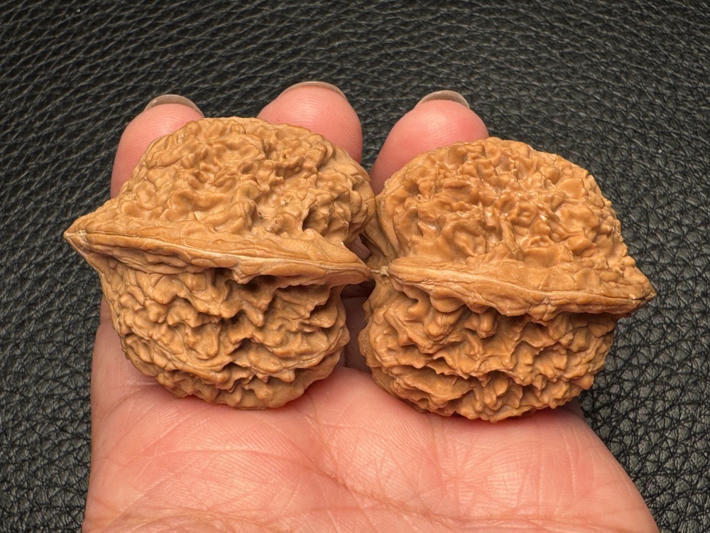 Gypsophila lion head exquisite pair