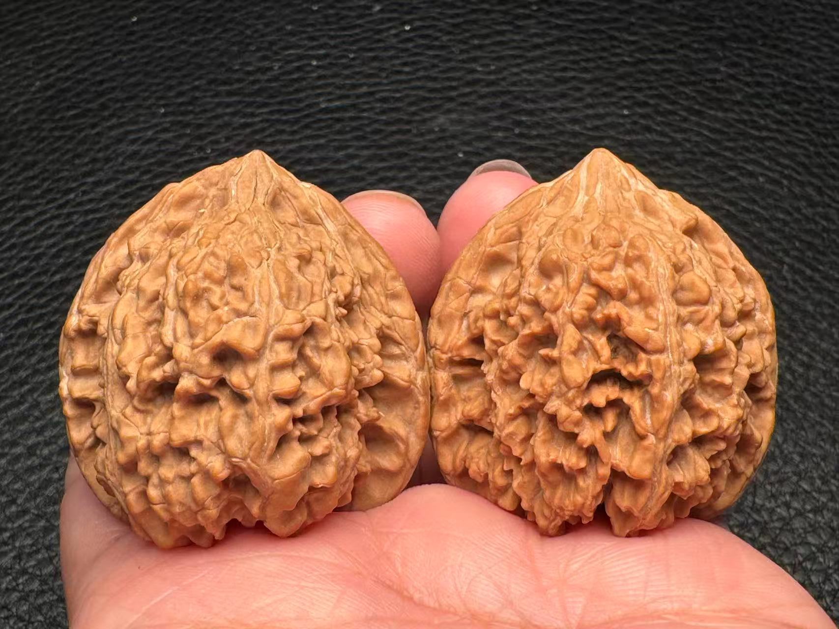 Gypsophila lion head exquisite pair
