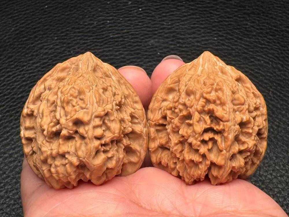 Gypsophila lion head exquisite pair
