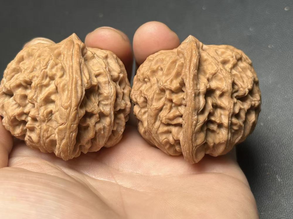 Dragon Vein Yuanbao Walnut
