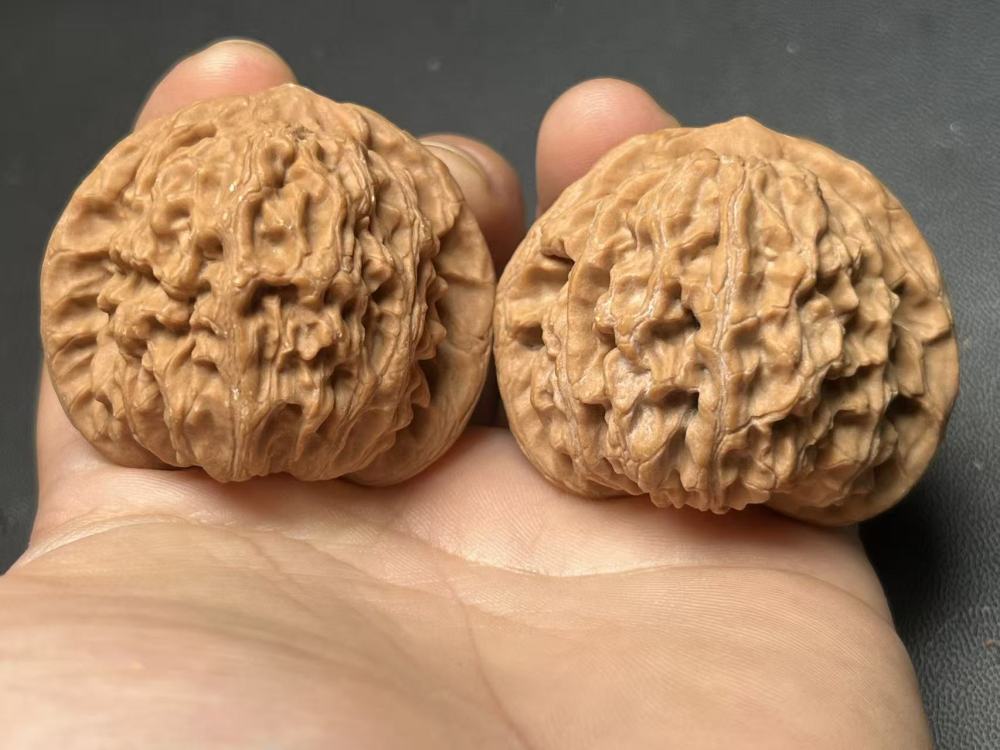 Dragon Vein Yuanbao Walnut