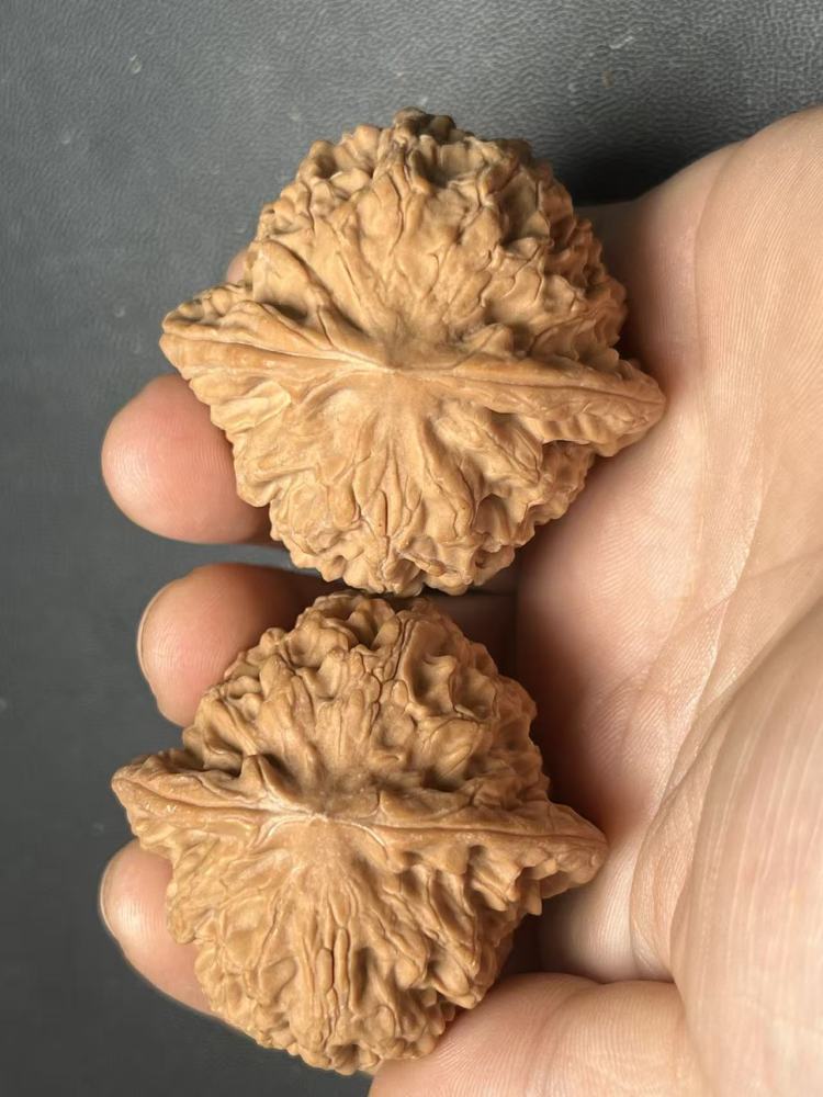 Dragon Vein Yuanbao Walnut