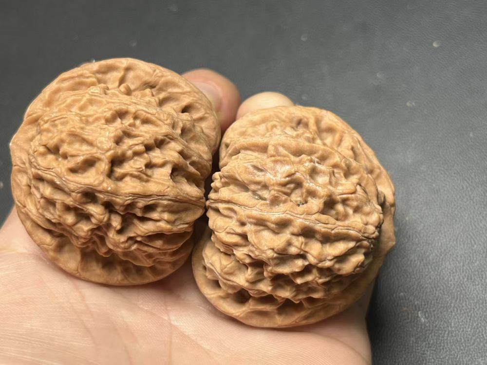 Dragon Vein Yuanbao Walnut