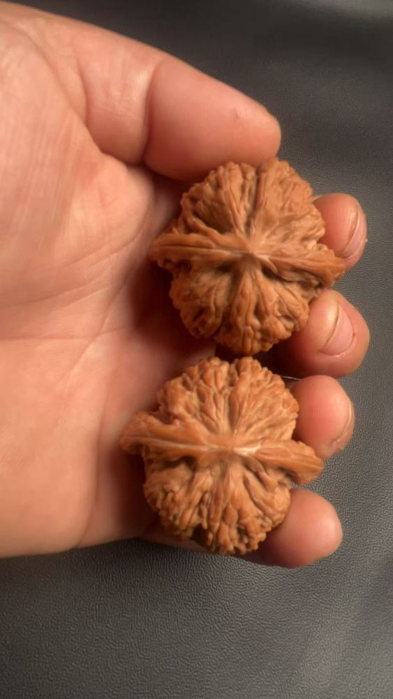 Hand-held walnuts with intricate patterns, resembling lion's head walnuts, are believed to promote health and wellness, and may help prevent Alzheimer's disease. They are small in size, have a high density, are premium pairs, and originate from China.