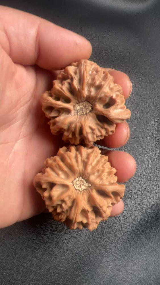 Hand-held walnut from the old tree of Longmenjian, concave bottom, in perfect condition, a high-end niche variety, the top choice for gifting to superiors or friends.