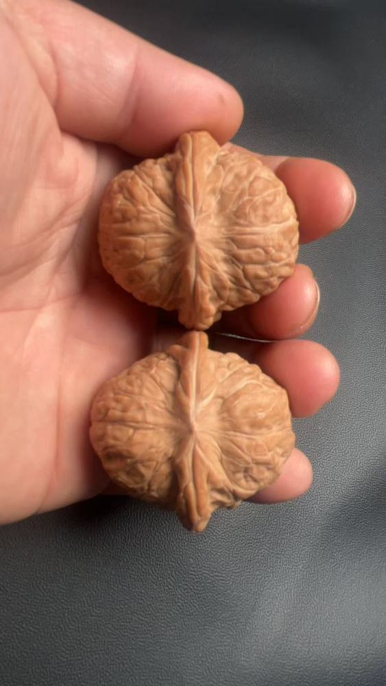 Handball, hand-held walnut pumpkin mound, wide south gate, shallow texture, quick coloring, exquisite pair, old tree fruit, suitable as a gift for friends or superiors, for preventing Alzheimer's disease and promoting health and wellness.