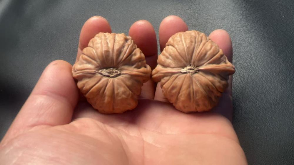 Handball, hand-held walnut pumpkin mound, wide south gate, shallow texture, quick coloring, exquisite pair, old tree fruit, suitable as a gift for friends or superiors, for preventing Alzheimer's disease and promoting health and wellness.