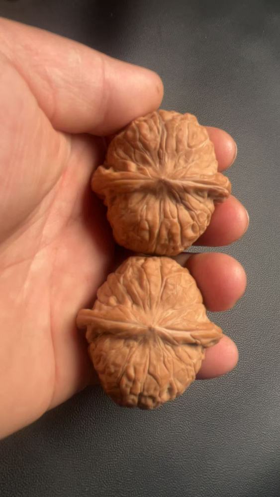 Handball, hand-held walnut pumpkin mound, wide south gate, shallow texture, quick coloring, exquisite pair, old tree fruit, suitable as a gift for friends or superiors, for preventing Alzheimer's disease and promoting health and wellness.