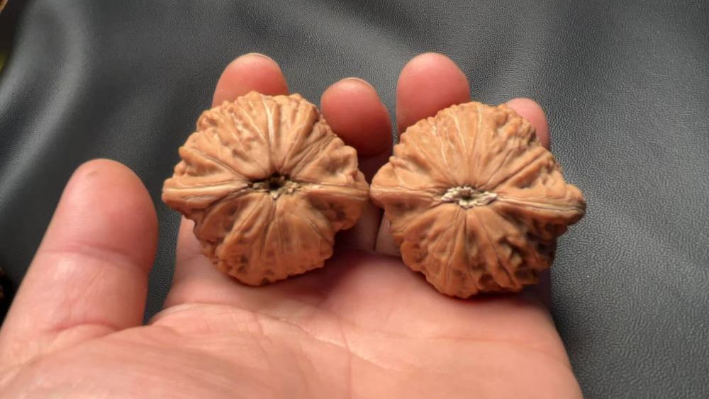 Hand-held walnut "Iron Hammer" variety, heavy texture, shallow patterns, quick coloring, flawless condition, exquisite pair, high-end niche variety, perfect gift for your girlfriend, may help prevent Alzheimer's disease, promote health and wellness.