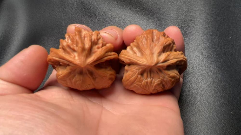 Premium hand-carved walnuts, Cao Dalong Zheng She variety, naturally grown, high-end niche specialty with a unique shape. Perfect gift for your loved one or superior. Top-quality skin, quick-coloring.