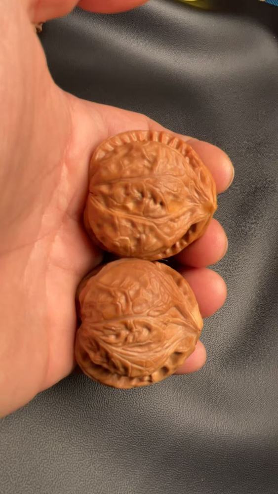 Premium hand-carved walnuts, Cao Dalong Zheng She variety, naturally grown, high-end niche specialty with a unique shape. Perfect gift for your loved one or superior. Top-quality skin, quick-coloring.