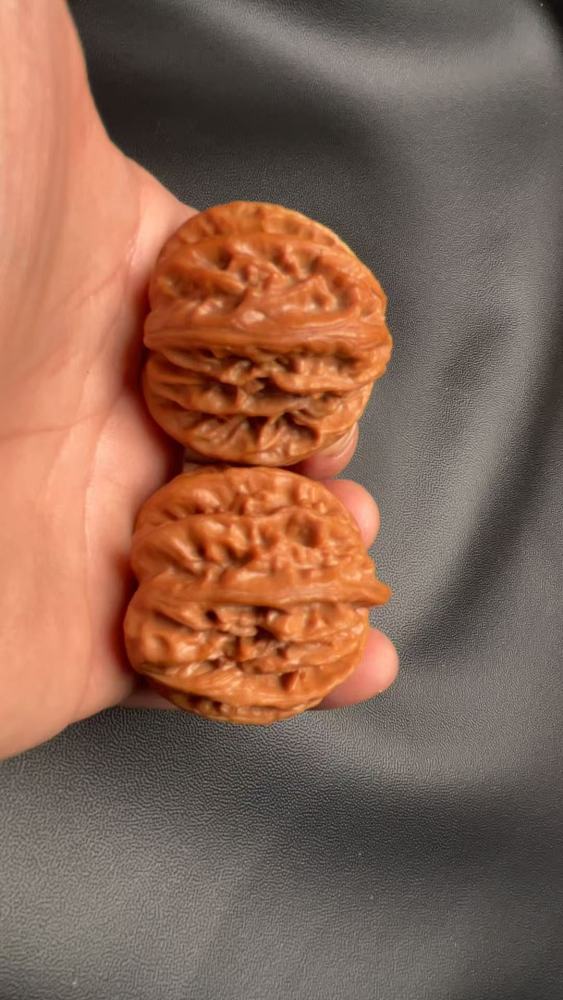 Premium hand-carved walnuts, Cao Dalong Zheng She variety, naturally grown, high-end niche specialty with a unique shape. Perfect gift for your loved one or superior. Top-quality skin, quick-coloring.