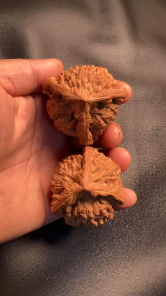 This three-sided official's hat-shaped amulet with a qilin (mythical creature) pattern is naturally grown, in perfect condition without any repairs. It is large and heavy. Made from fruit from an old tree, it's an excellent choice for personal enjoyment o