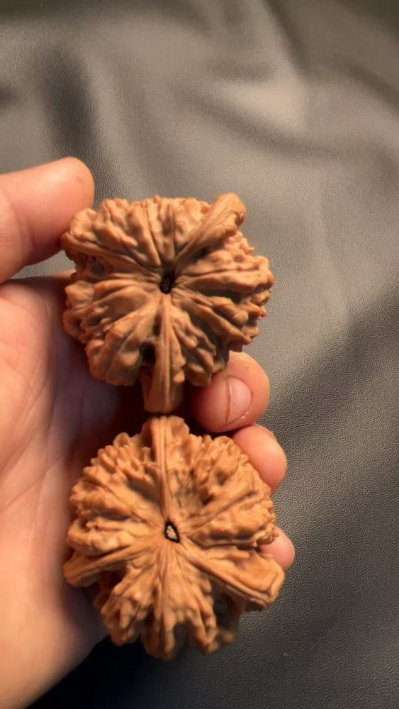 This three-sided official's hat-shaped amulet with a qilin (mythical creature) pattern is naturally grown, in perfect condition without any repairs. It is large and heavy. Made from fruit from an old tree, it's an excellent choice for personal enjoyment o