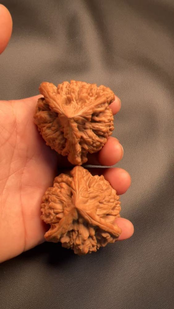 This three-sided official's hat-shaped amulet with a qilin (mythical creature) pattern is naturally grown, in perfect condition without any repairs. It is large and heavy. Made from fruit from an old tree, it's an excellent choice for personal enjoyment o
