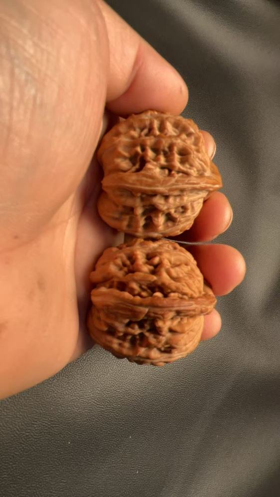 These are hand-carved, three-sided walnuts from the "Four Towers" variety, naturally grown, from old trees, in pairs, and they color quickly. A healthy and enjoyable treat, and a perfect gift.