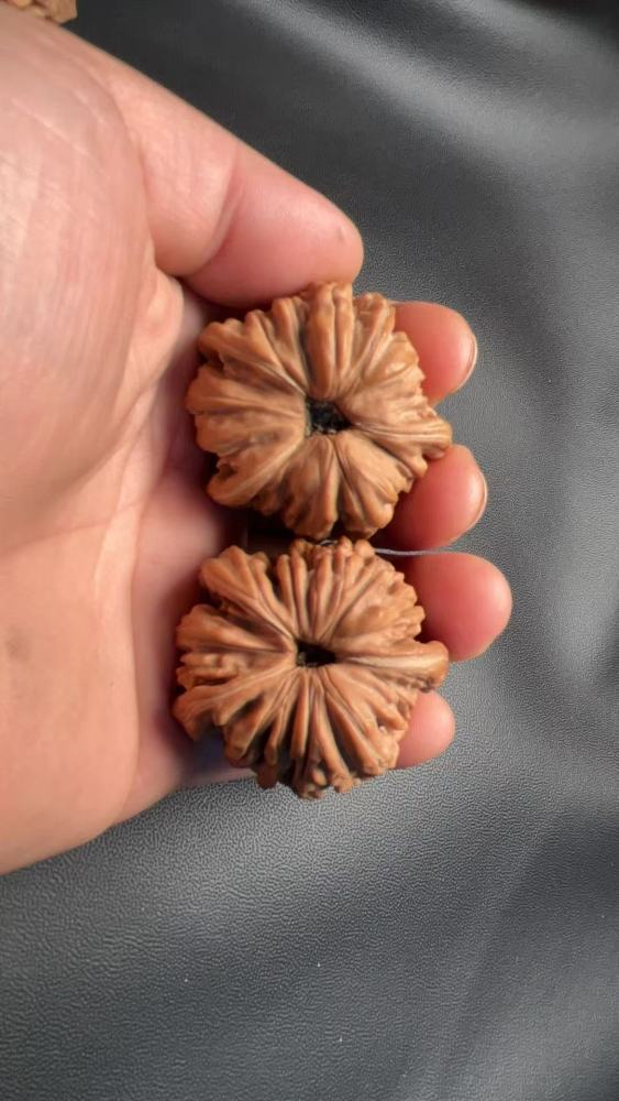 These are hand-carved, three-sided walnuts from the "Four Towers" variety, naturally grown, from old trees, in pairs, and they color quickly. A healthy and enjoyable treat, and a perfect gift.