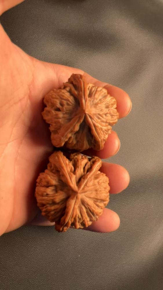These are hand-carved, three-sided walnuts from the "Four Towers" variety, naturally grown, from old trees, in pairs, and they color quickly. A healthy and enjoyable treat, and a perfect gift.