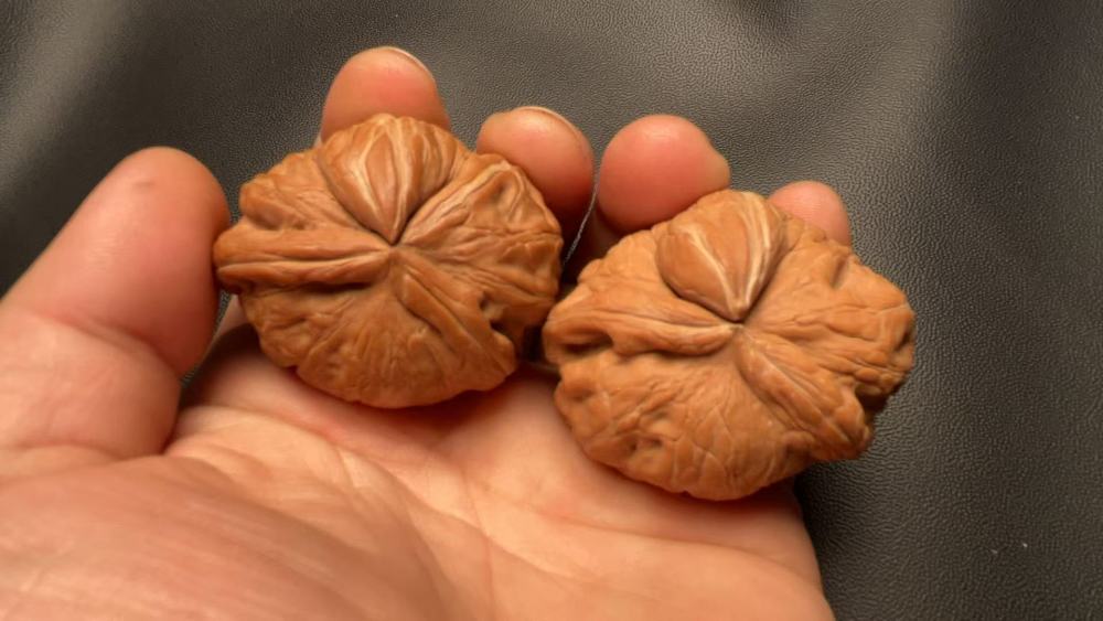 These hand-held walnut ingots are unparalleled, featuring exquisite matching pieces, natural growth, and uniqueness. They make an excellent high-end gift, suitable for superiors, parents, friends, or for personal enjoyment.