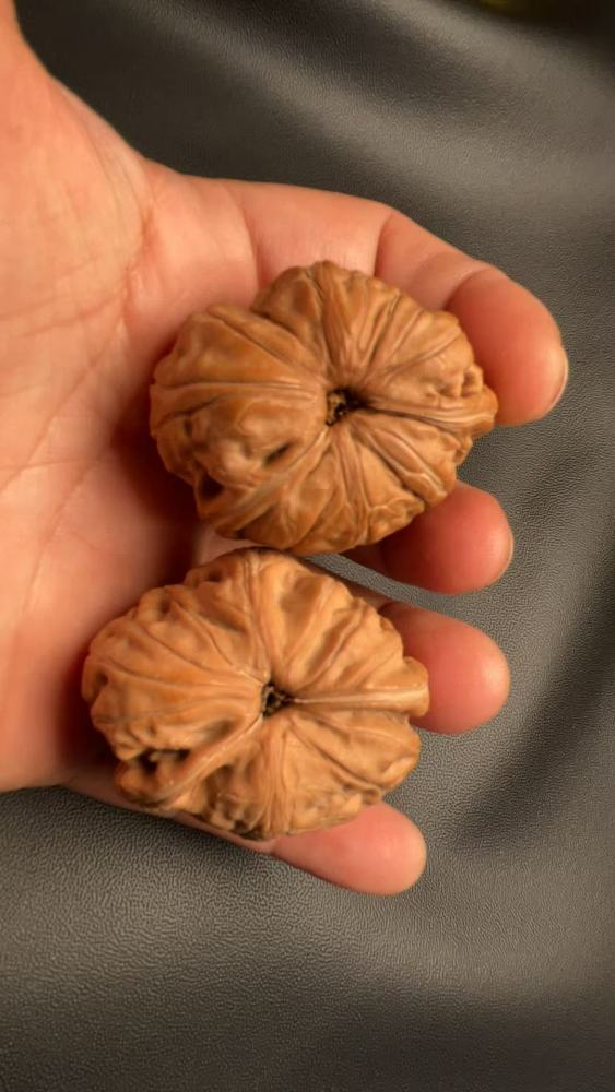 These hand-held walnut ingots are unparalleled, featuring exquisite matching pieces, natural growth, and uniqueness. They make an excellent high-end gift, suitable for superiors, parents, friends, or for personal enjoyment.