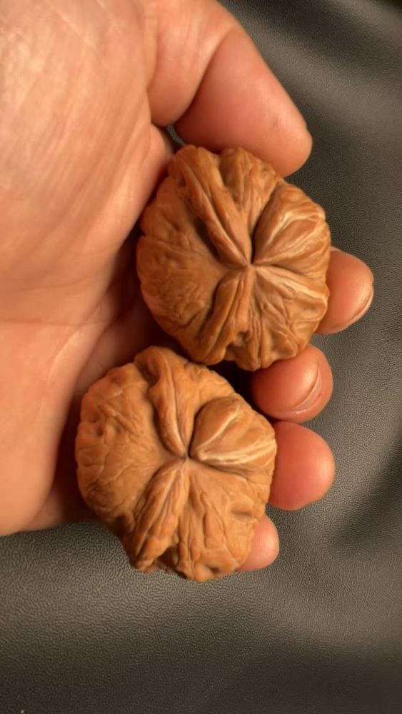 These hand-held walnut ingots are unparalleled, featuring exquisite matching pieces, natural growth, and uniqueness. They make an excellent high-end gift, suitable for superiors, parents, friends, or for personal enjoyment.
