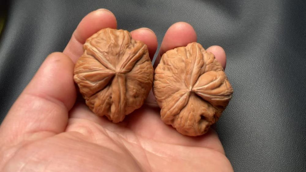 These hand-held walnut ingots are unparalleled, featuring exquisite matching pieces, natural growth, and uniqueness. They make an excellent high-end gift, suitable for superiors, parents, friends, or for personal enjoyment.