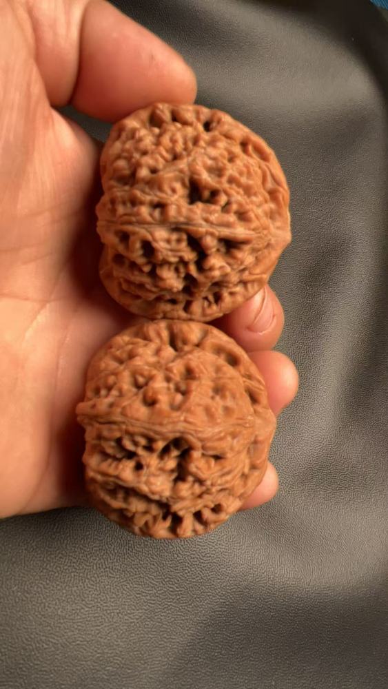 Hand-carved walnuts with water dragon pattern, lion head shape, naturally grown, red skin, coarse veins. A fine pair, perfect for gifting.