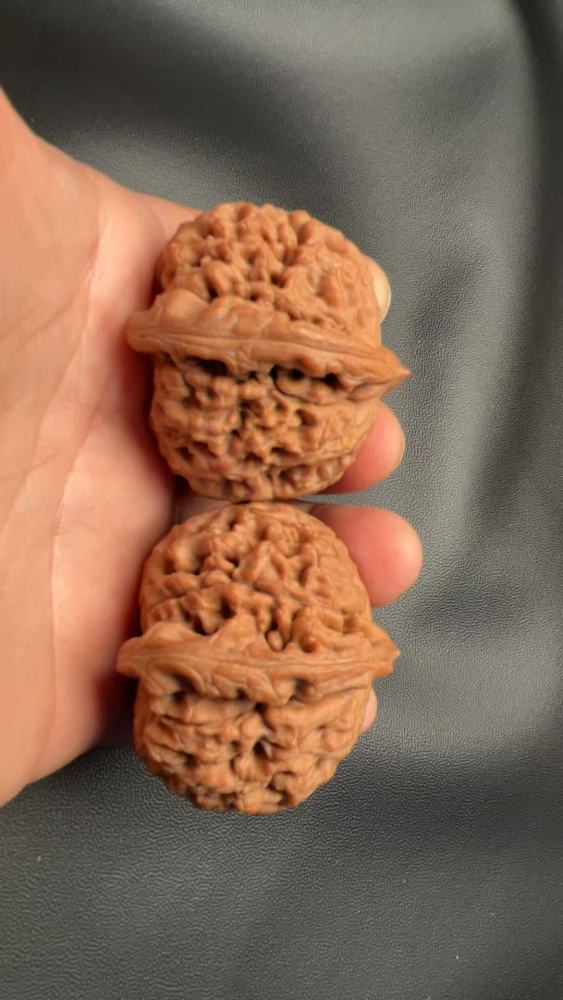 Hand-carved walnuts with water dragon pattern, lion head shape, naturally grown, red skin, coarse veins. A fine pair, perfect for gifting.