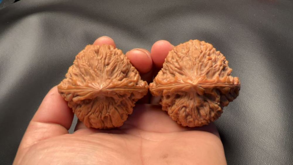 Southern Xinjiang stone lion heads, naturally grown, from old tree fruit, a fine pair, with good bone quality and heavy weight. Enjoy playing with them yourself; they may help prevent Alzheimer's disease and promote health and wellness.