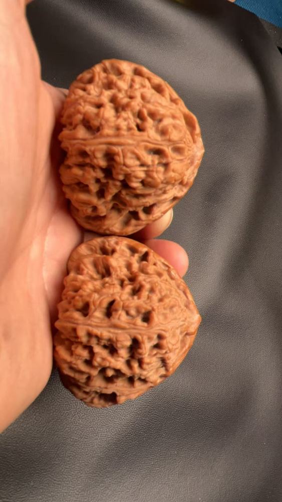 Southern Xinjiang stone lion heads, naturally grown, from old tree fruit, a fine pair, with good bone quality and heavy weight. Enjoy playing with them yourself; they may help prevent Alzheimer's disease and promote health and wellness.
