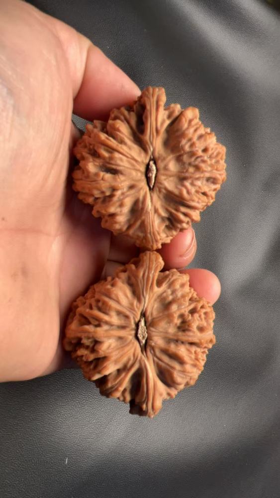 Southern Xinjiang stone lion heads, naturally grown, from old tree fruit, a fine pair, with good bone quality and heavy weight. Enjoy playing with them yourself; they may help prevent Alzheimer's disease and promote health and wellness.