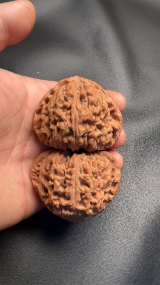 Southern Xinjiang stone lion heads, naturally grown, from old tree fruit, a fine pair, with good bone quality and heavy weight. Enjoy playing with them yourself; they may help prevent Alzheimer's disease and promote health and wellness.