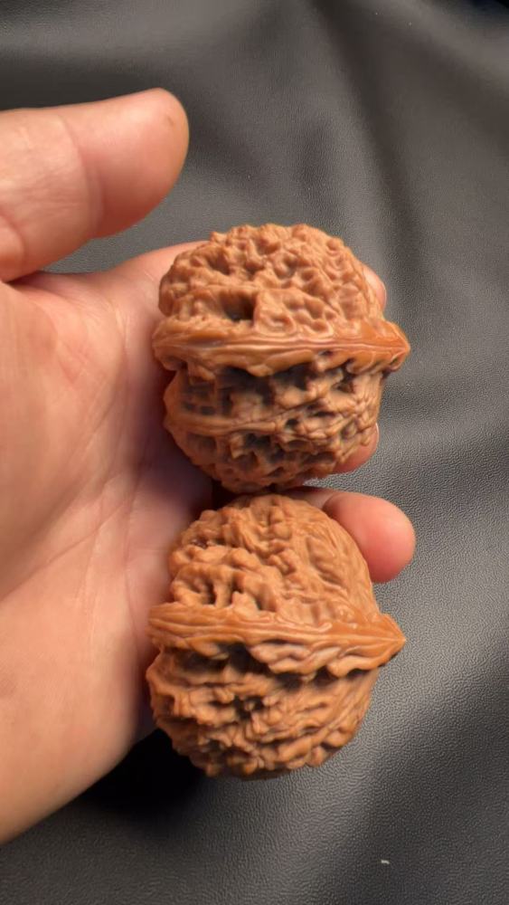 Southern Xinjiang stone lion heads, naturally grown, from old tree fruit, a fine pair, with good bone quality and heavy weight. Enjoy playing with them yourself; they may help prevent Alzheimer's disease and promote health and wellness.